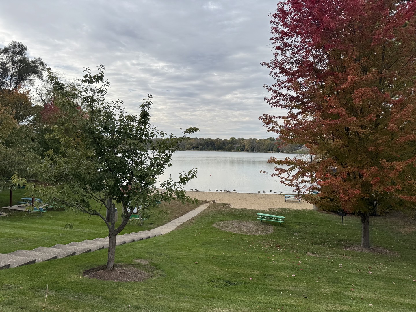2706 Limerick Drive, Cary, IL 60013