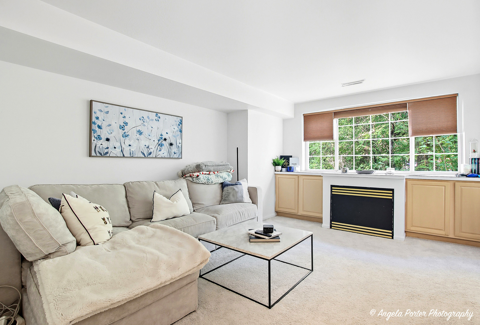 30 S Macgillis Drive #20-1, Round Lake, IL 60073