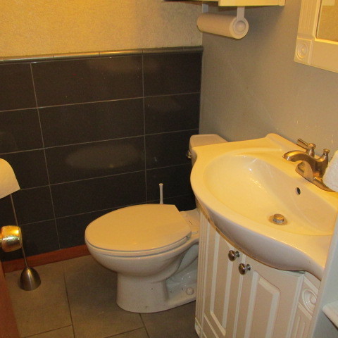 7904 Melvina Avenue, Burbank, IL 60459