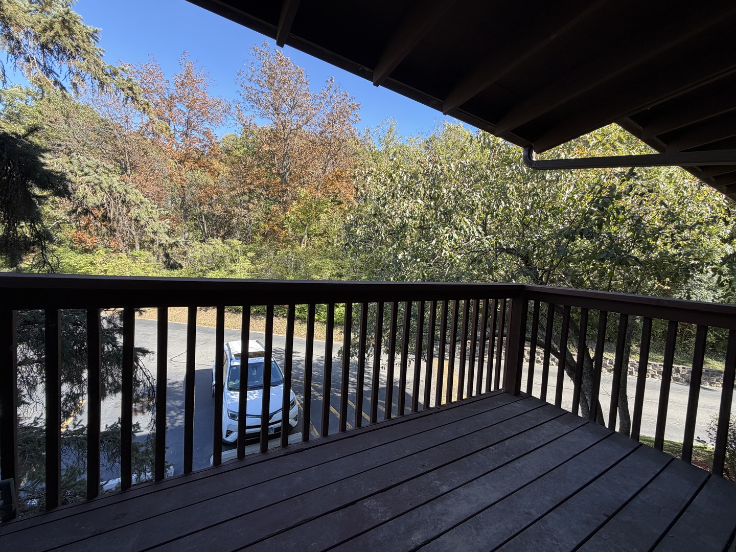 100 Willow Lane #201B, Willow Springs, IL 60480