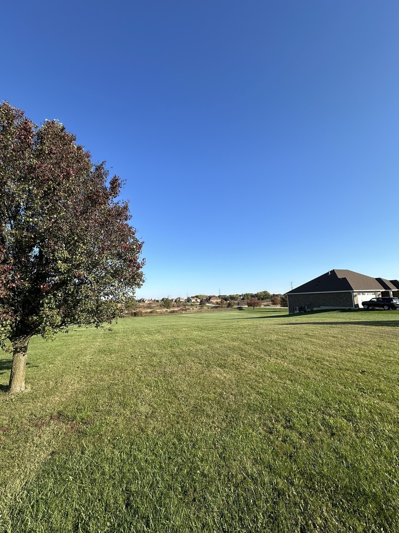 10108 W Sweet Grass Circle, Monee, IL 60449