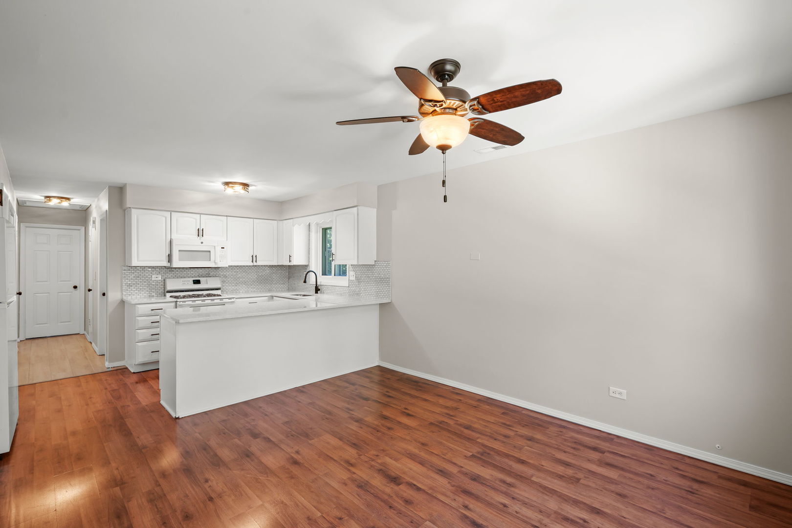 519 W Hillside Drive #3, Bensenville, IL 60106