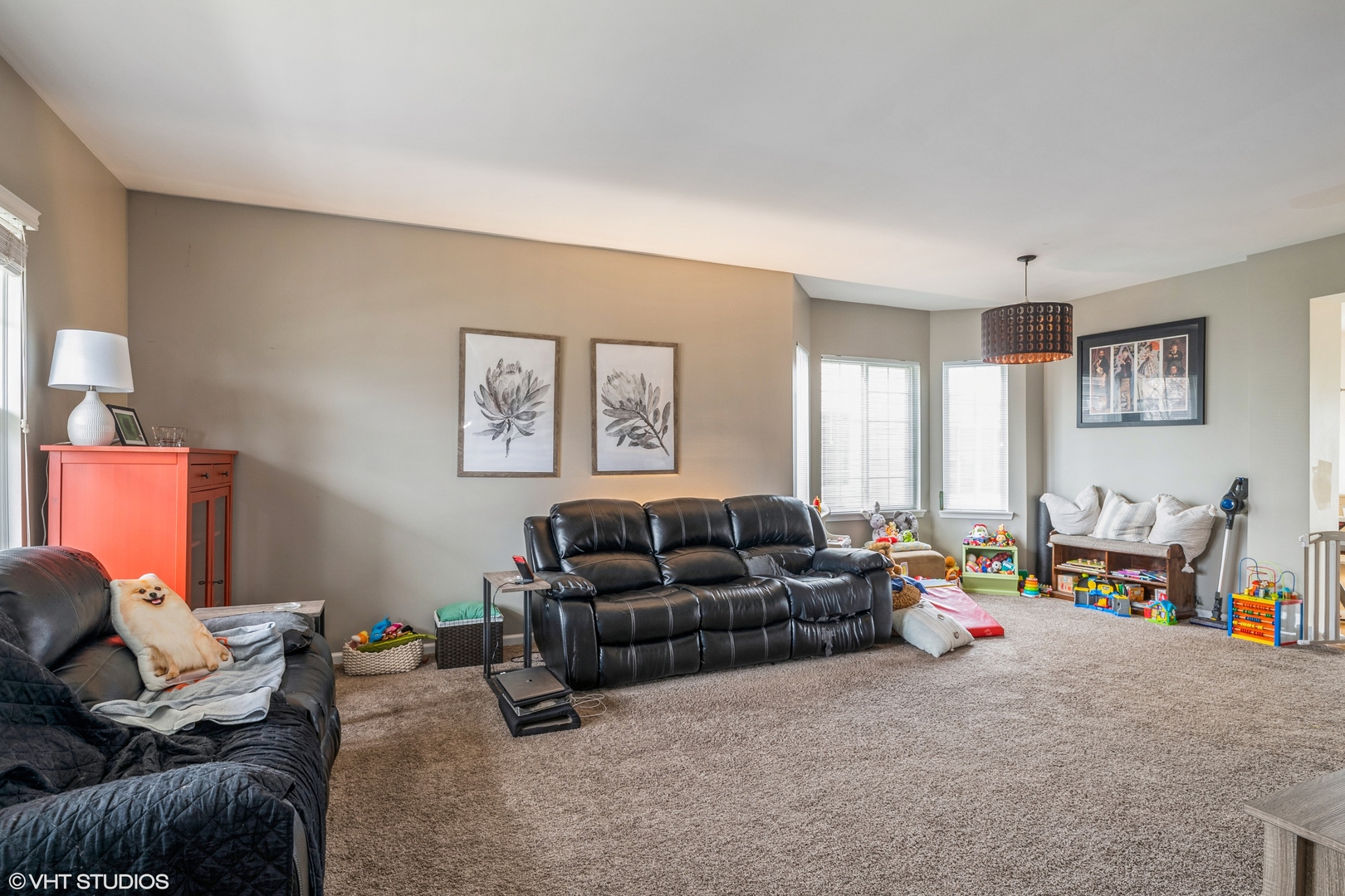 358 W Winchester Drive, Round Lake, IL 60073