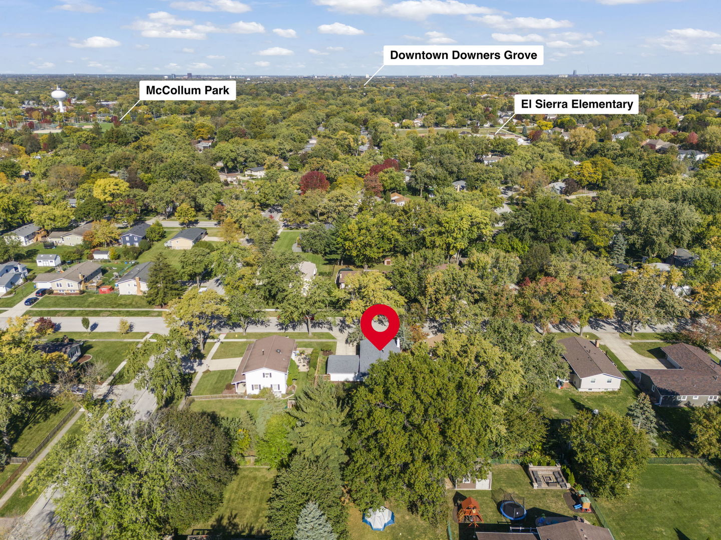 713 Ridgeview Street, Downers Grove, IL 60516