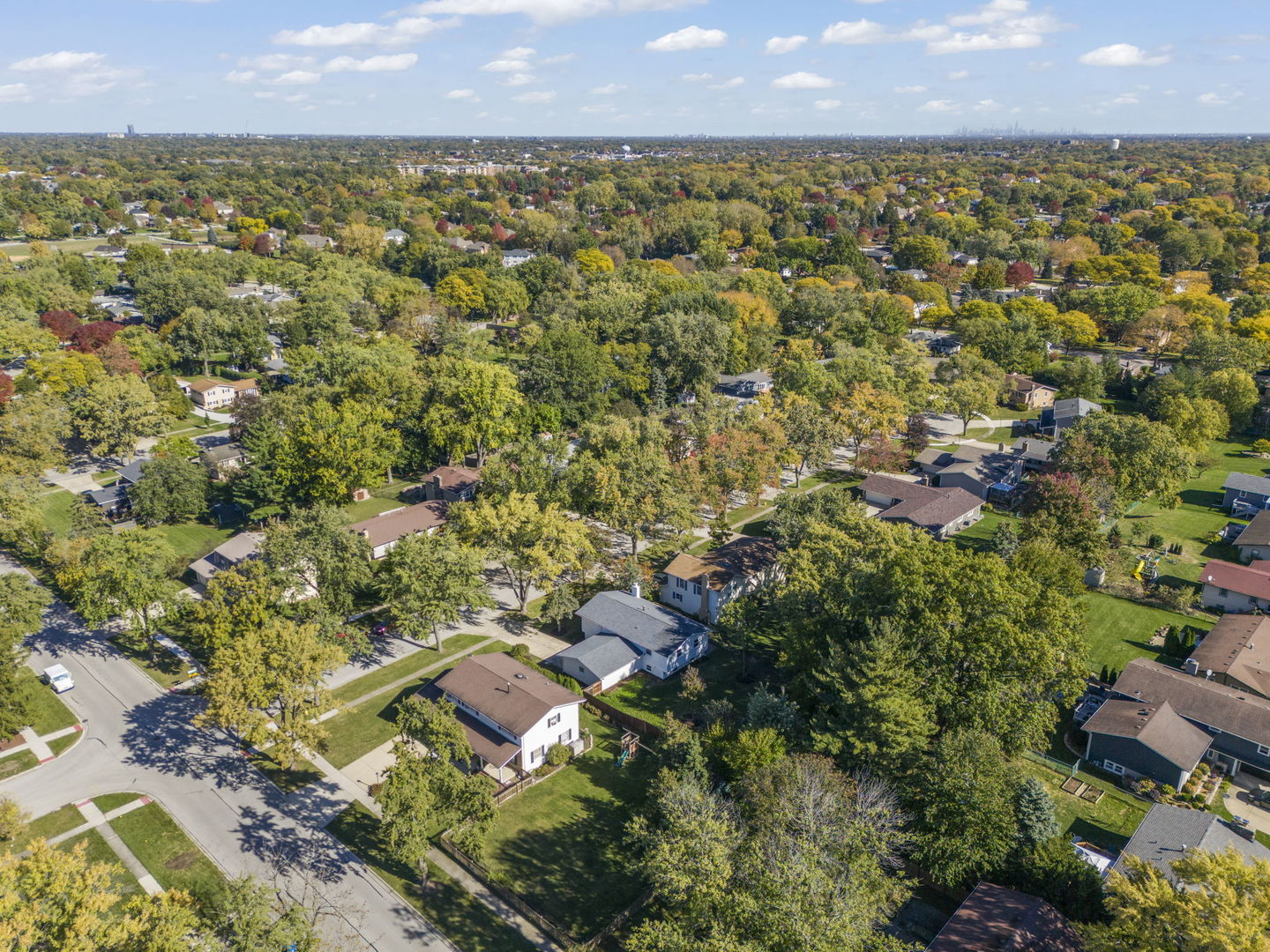 713 Ridgeview Street, Downers Grove, IL 60516