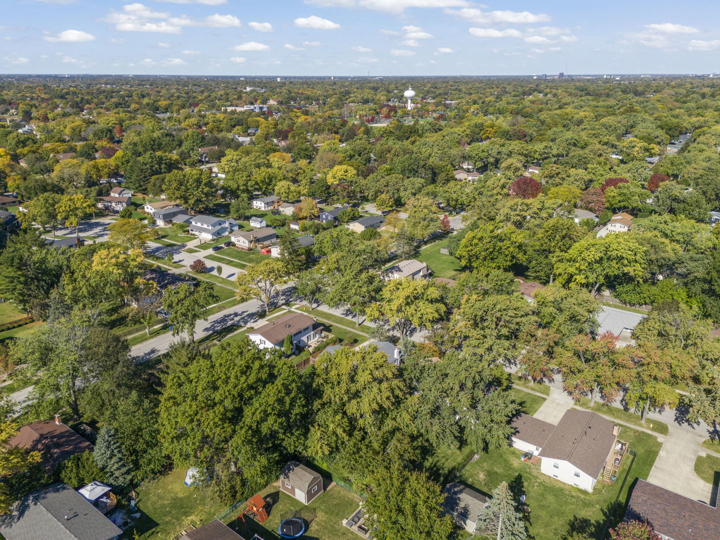 713 Ridgeview Street, Downers Grove, IL 60516