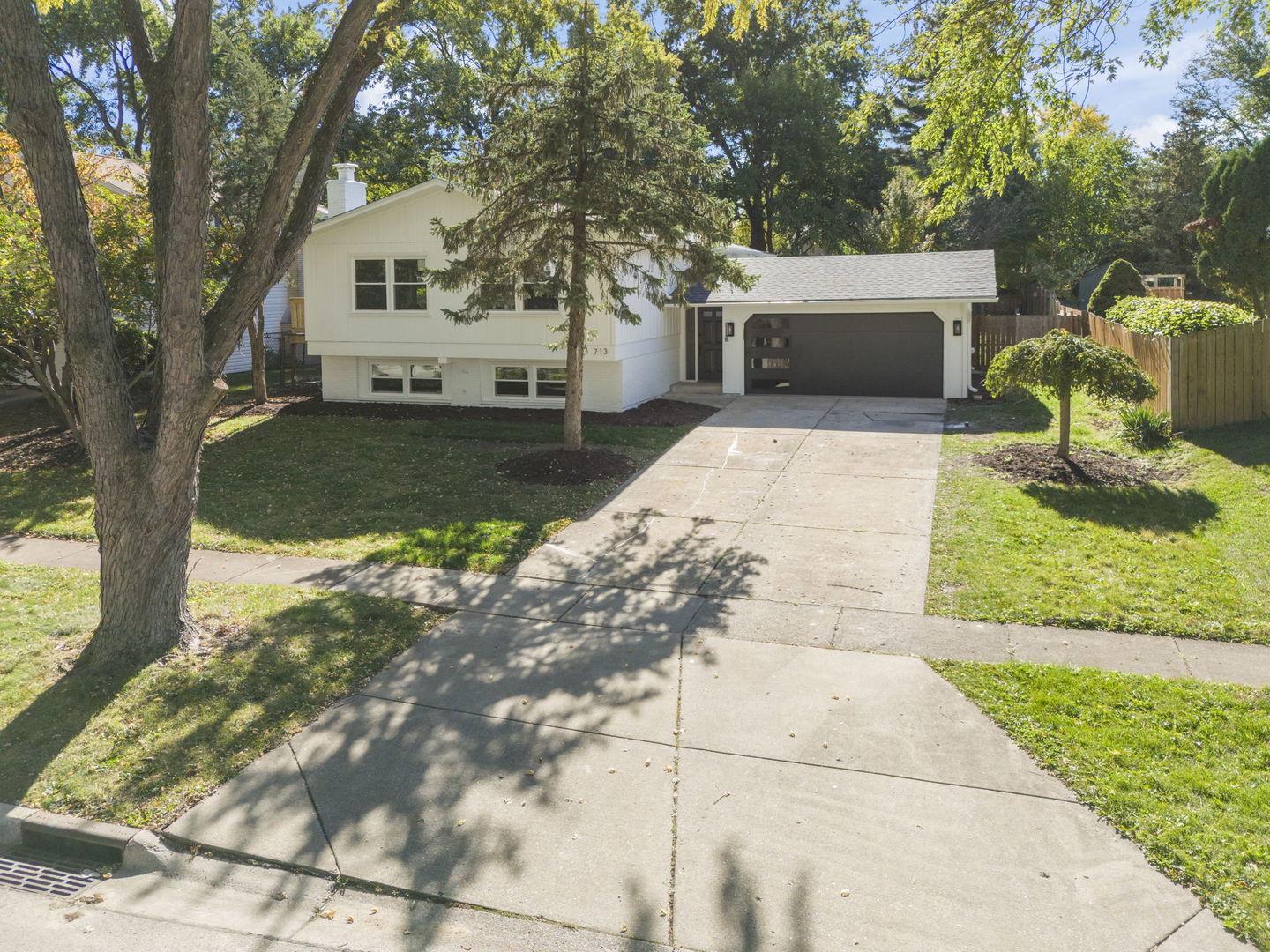 713 Ridgeview Street, Downers Grove, IL 60516