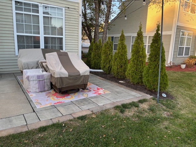 1433 White Pine Lane, Bolingbrook, IL 60490