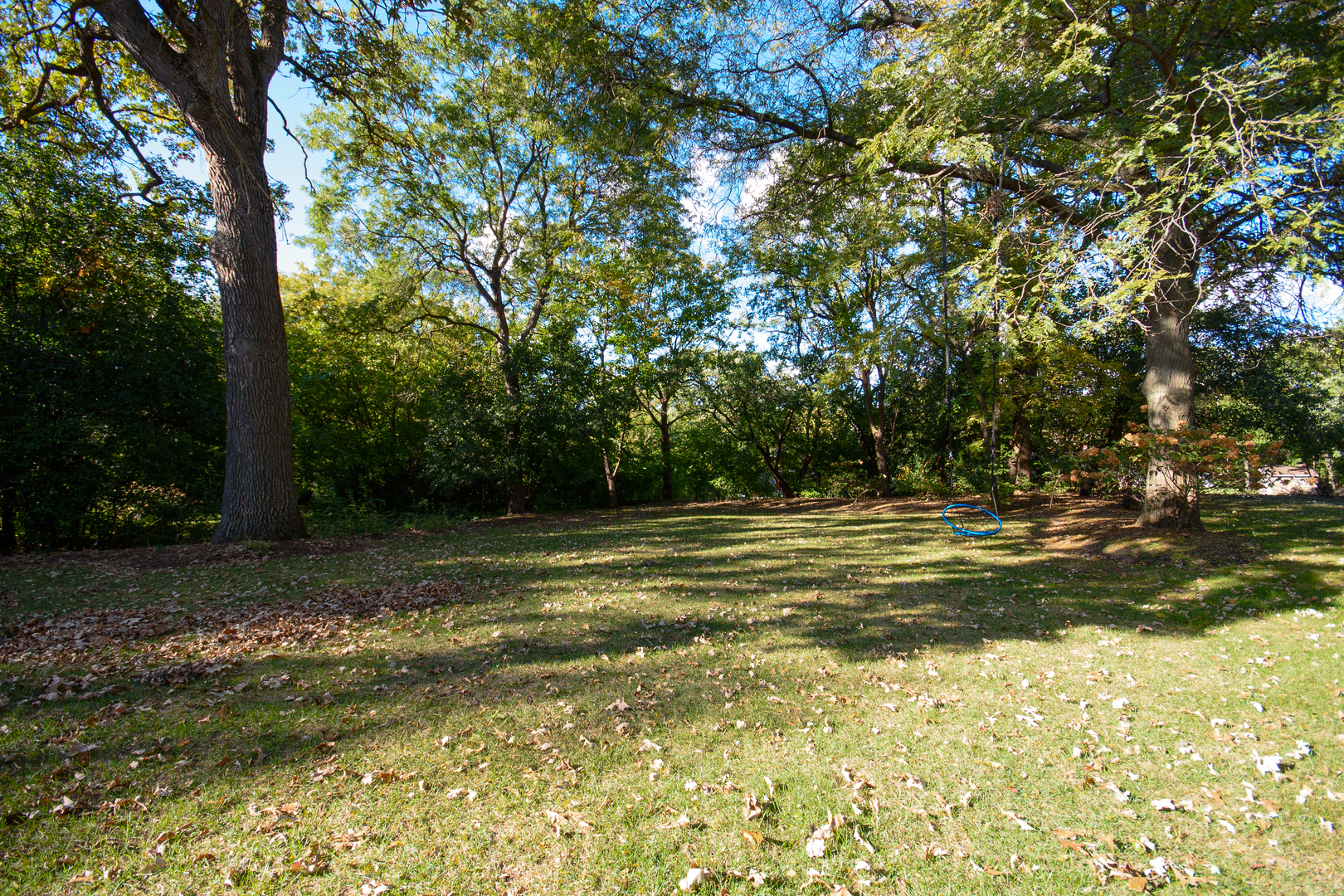 11226 Hiawatha Lane, Indian Head Park, IL 60525
