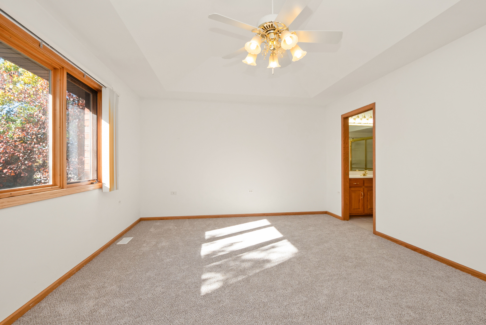 10509 San Luis Lane, Orland Park, IL 60467