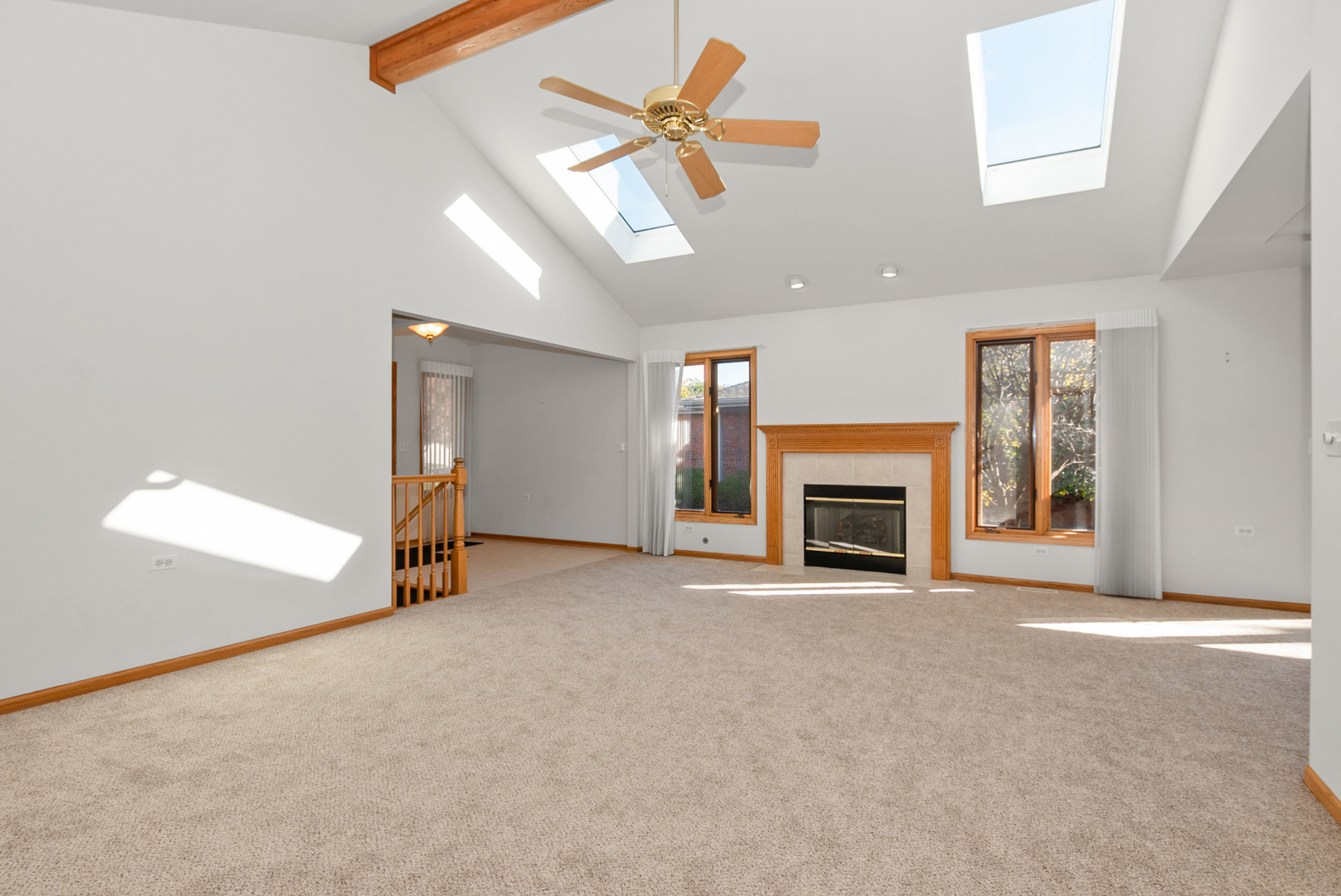 10509 San Luis Lane, Orland Park, IL 60467