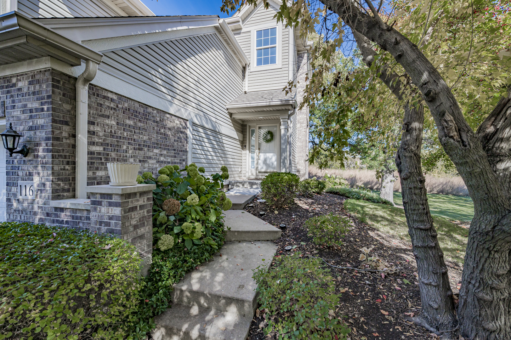 116 River Mist Drive, Oswego, IL 60543
