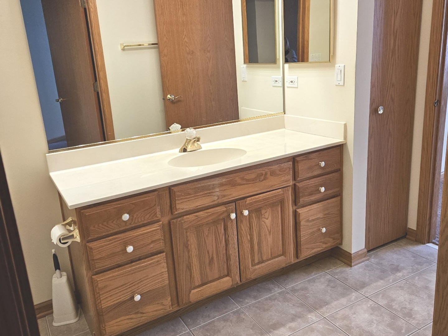 21357 W Douglas Lane, Plainfield, IL 60544