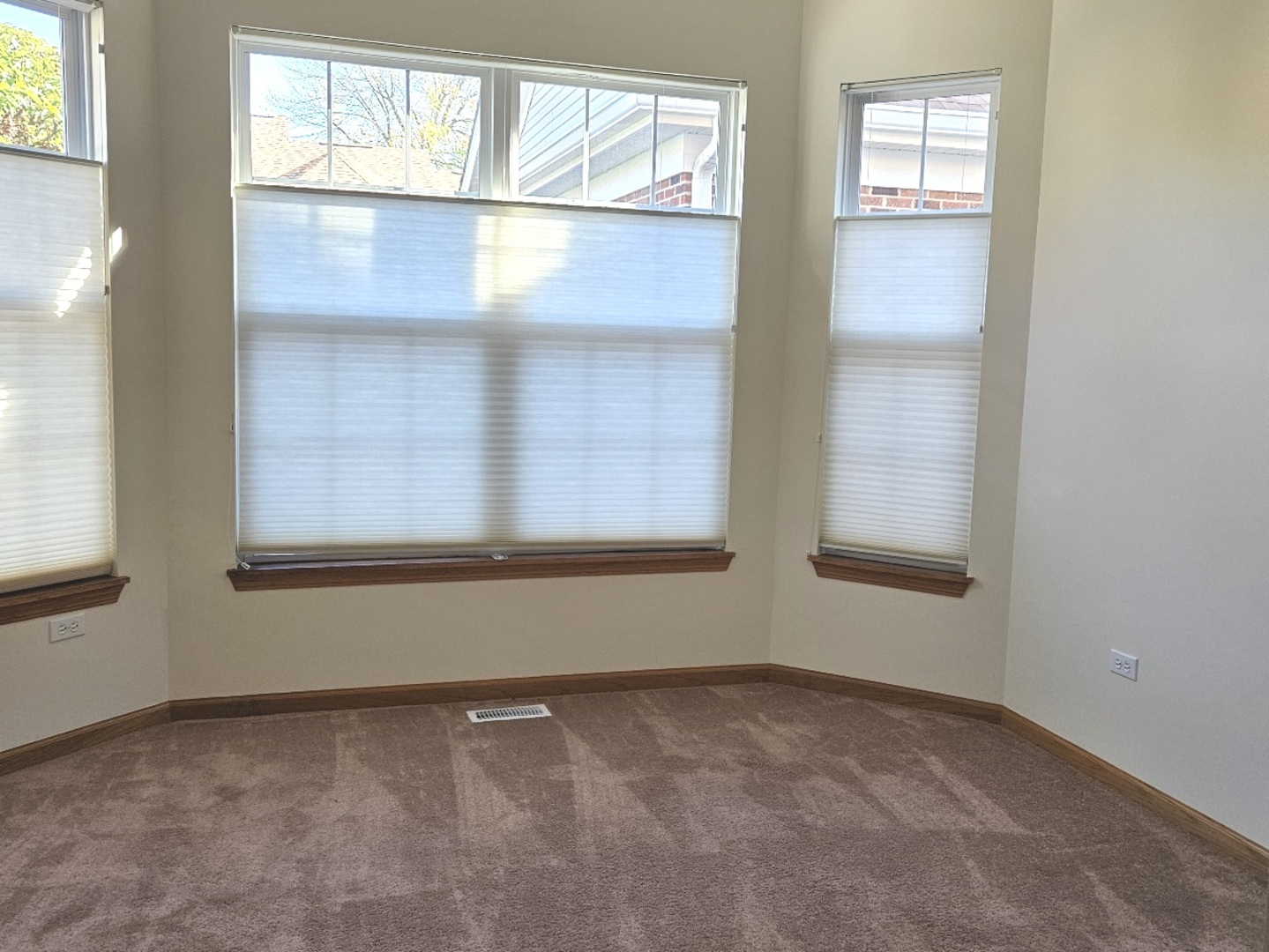 21357 W Douglas Lane, Plainfield, IL 60544