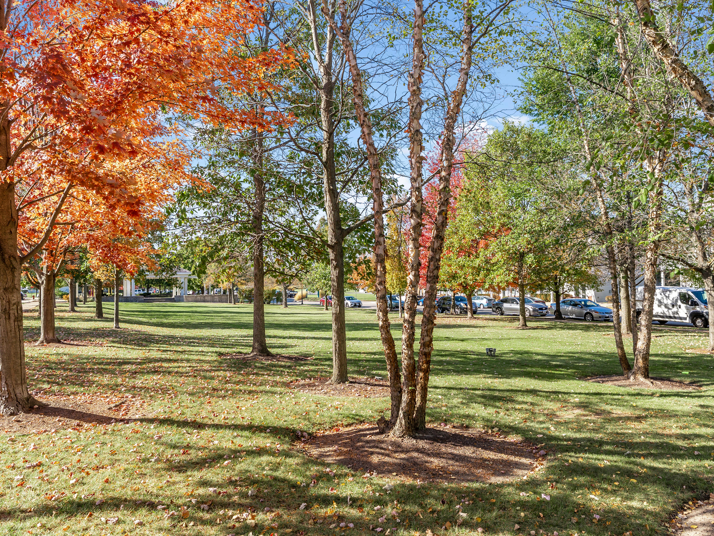 1053 SYMPHONY Drive, Aurora, IL 60504