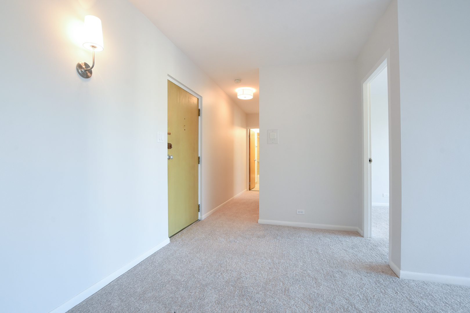 1333 W TOUHY Avenue #301, Park Ridge, IL 60068
