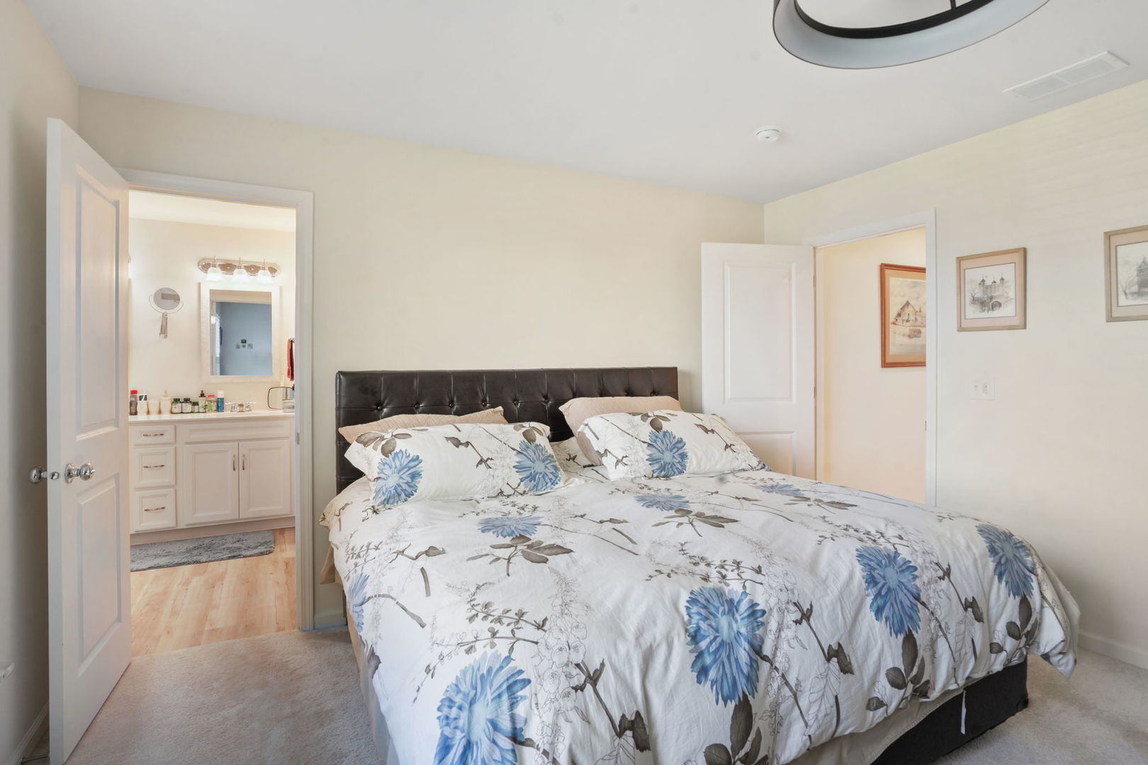 24528 W Alexis Lane, Plainfield, IL 60585