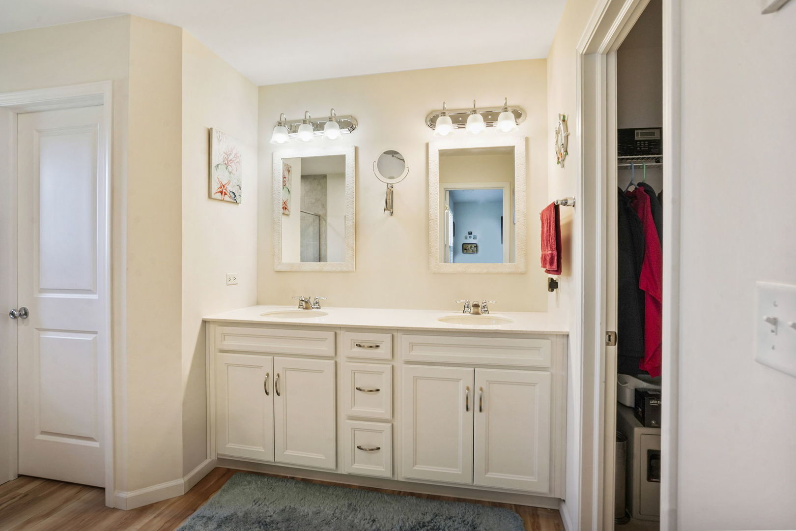 24528 W Alexis Lane, Plainfield, IL 60585