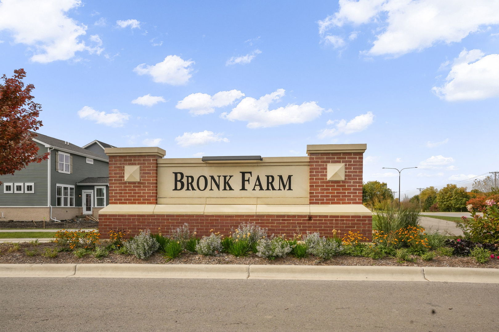 24528 W Alexis Lane, Plainfield, IL 60585