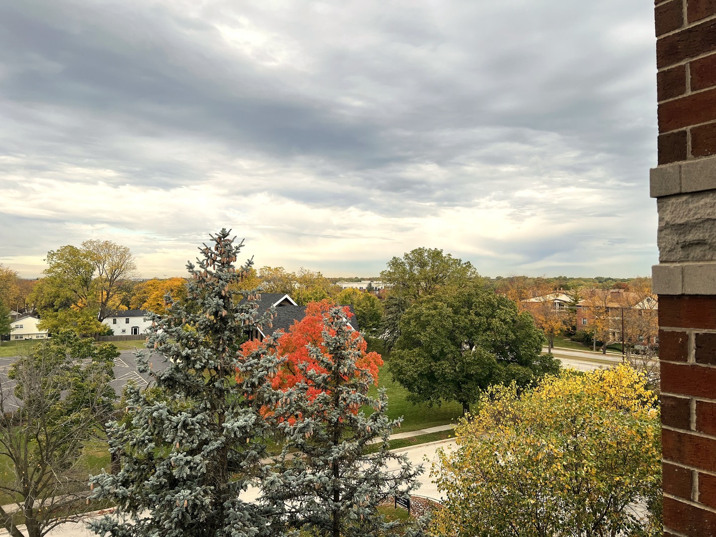 3451 N Carriageway Drive #503, Arlington Heights, IL 60004