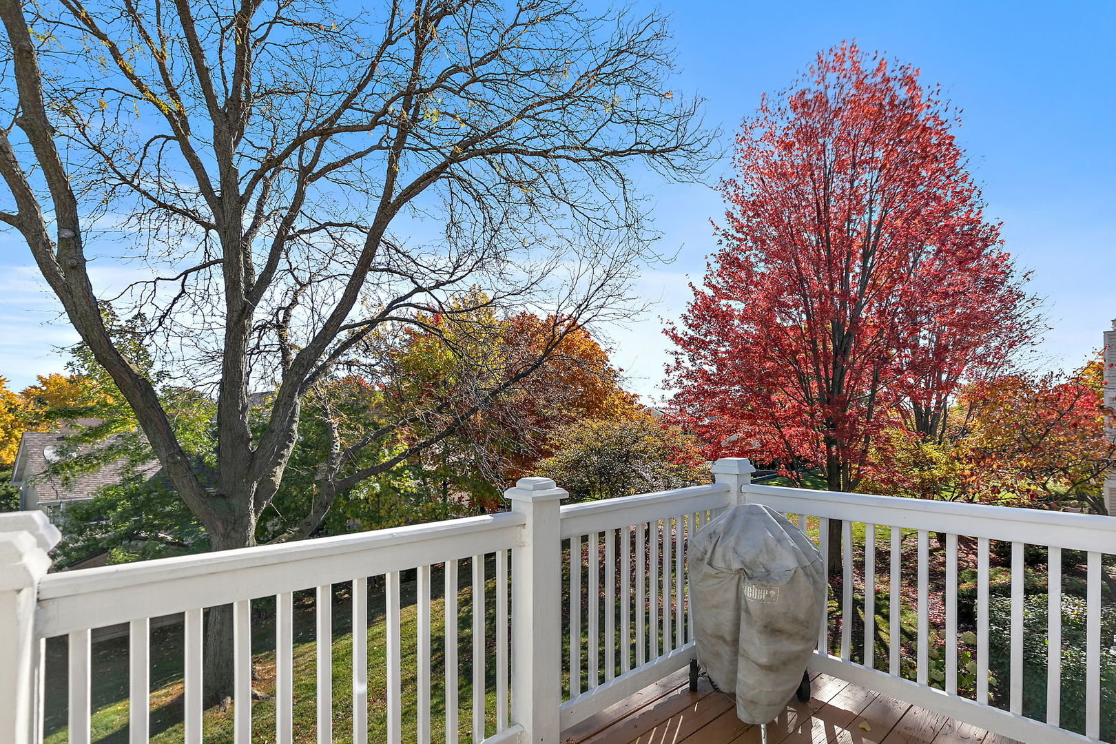 323 Green Knoll Lane #323, Streamwood, IL 60107