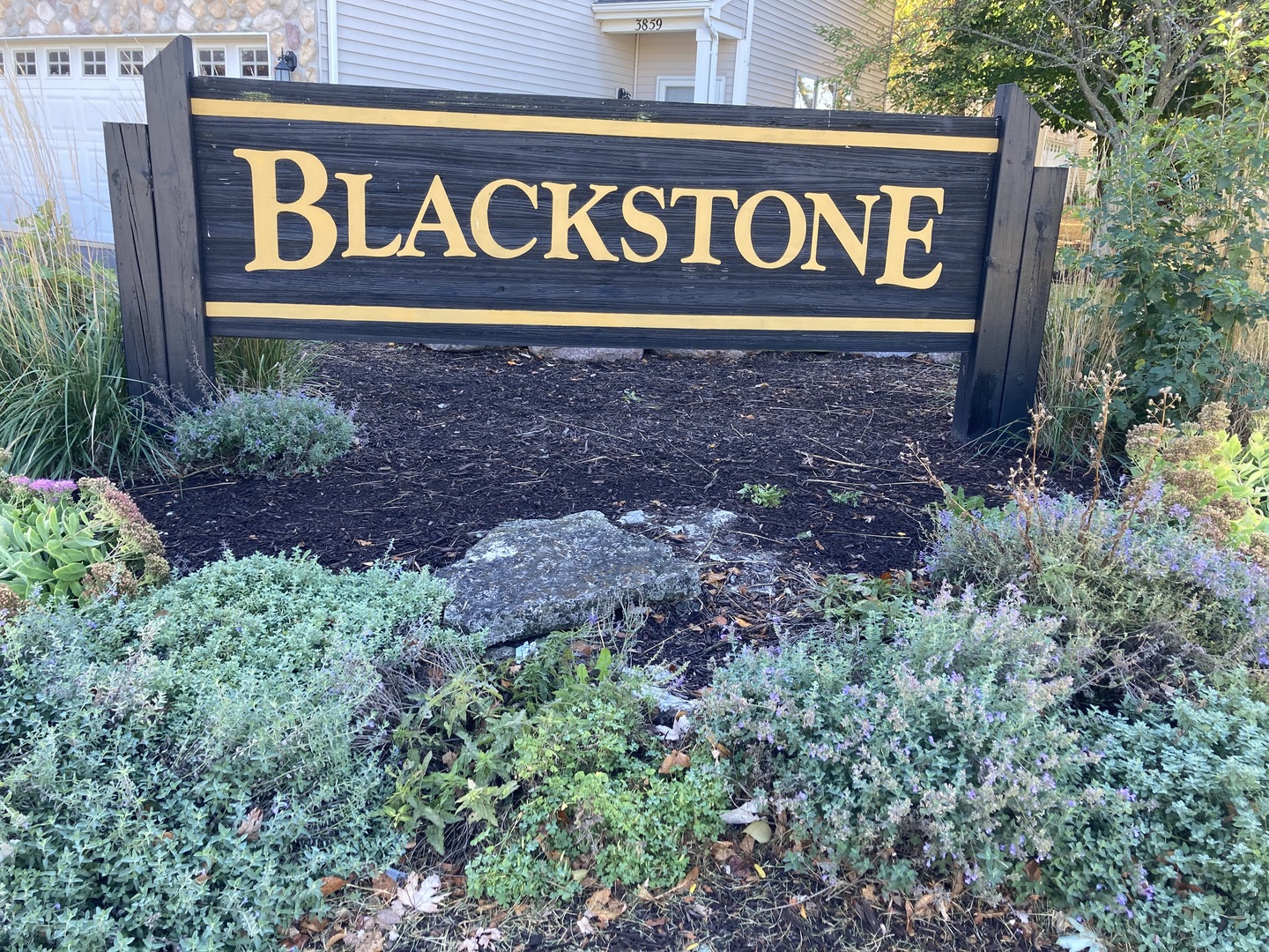 3871 Blackstone Drive, Aurora, IL 60504