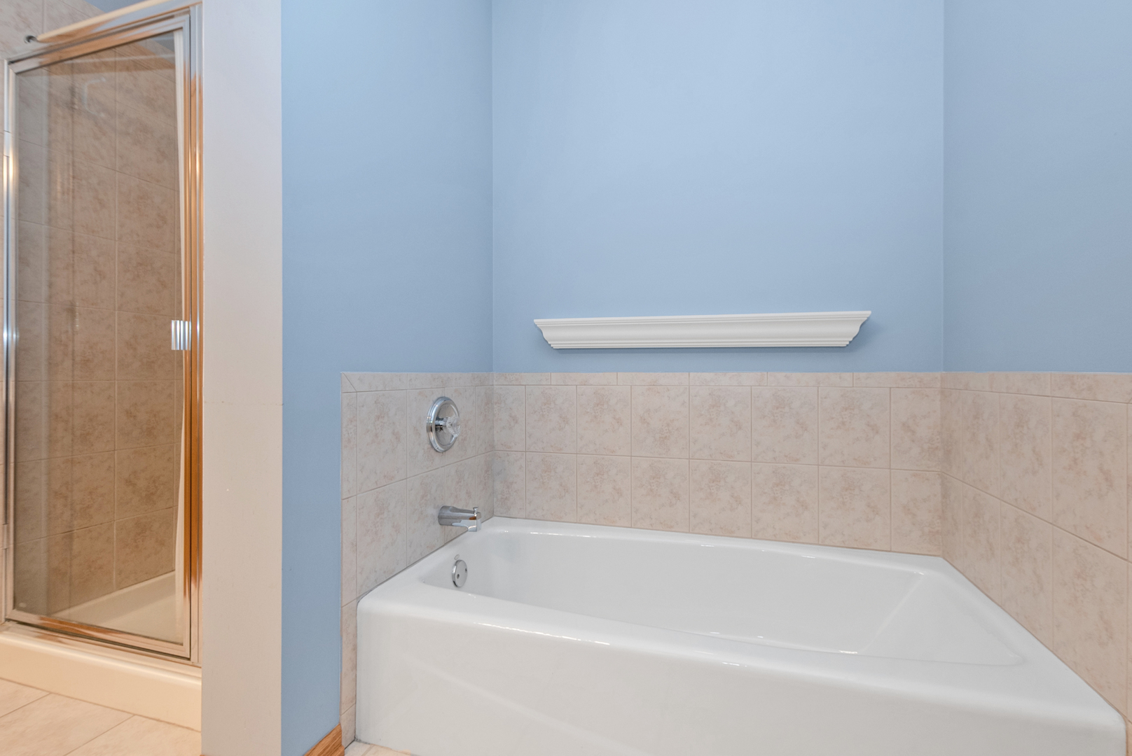 10848 Canterbury Drive, Mokena, IL 60448