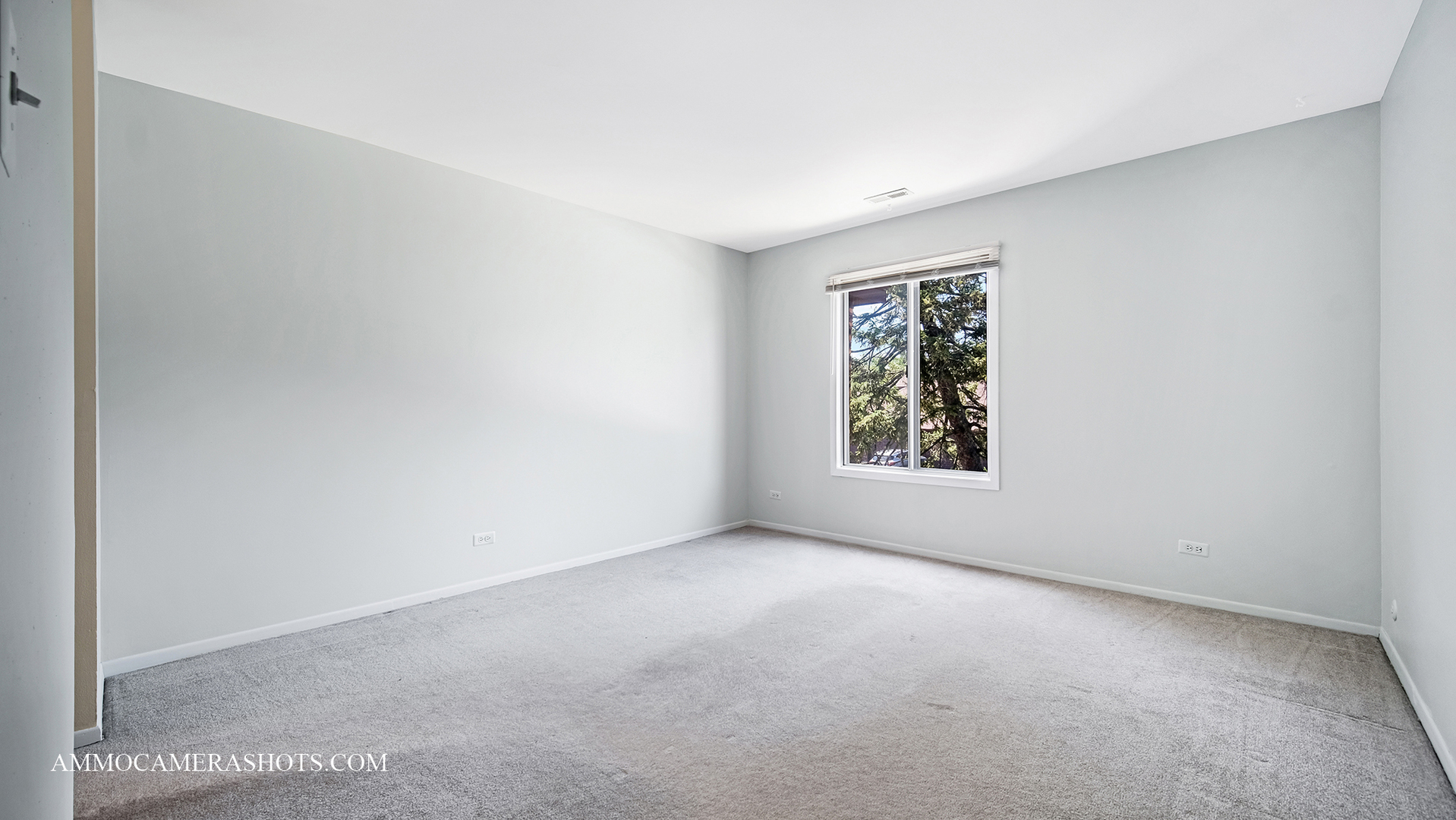 1705 Lakecliffe Drive #C, Wheaton, IL 60189