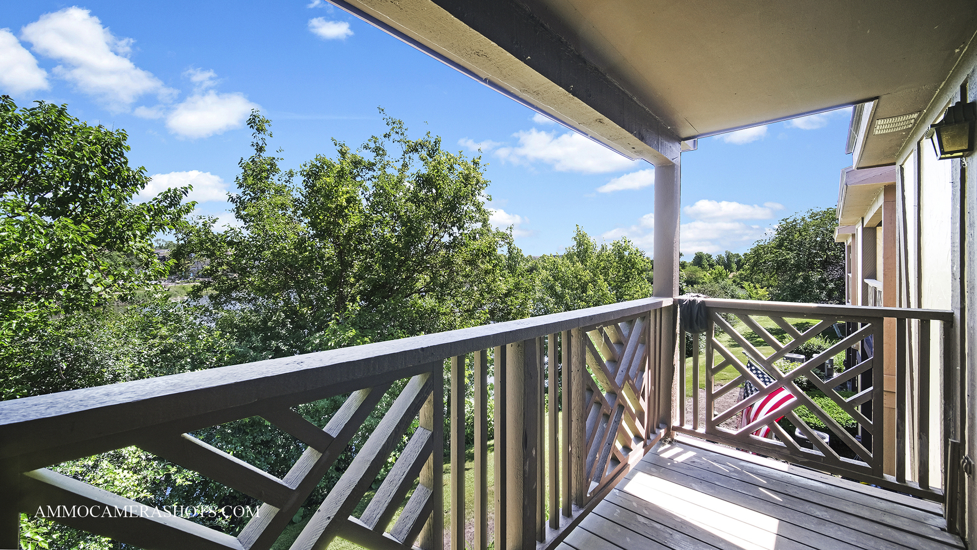 1705 Lakecliffe Drive #C, Wheaton, IL 60189