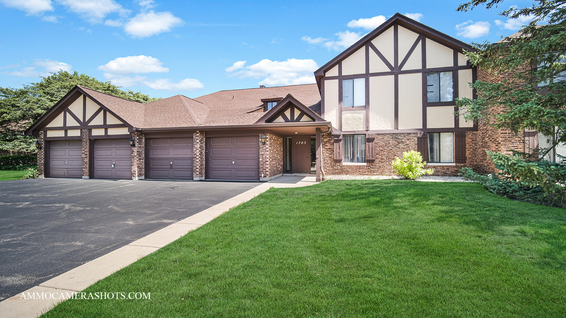 1705 Lakecliffe Drive #C, Wheaton, IL 60189