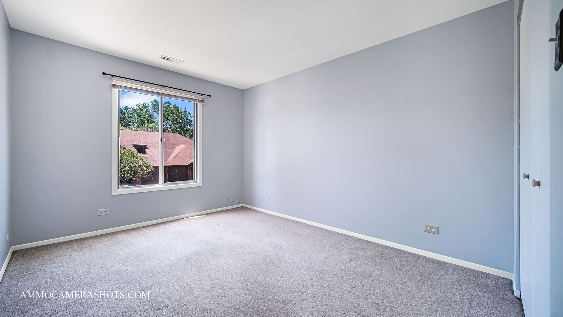 1705 Lakecliffe Drive #C, Wheaton, IL 60189