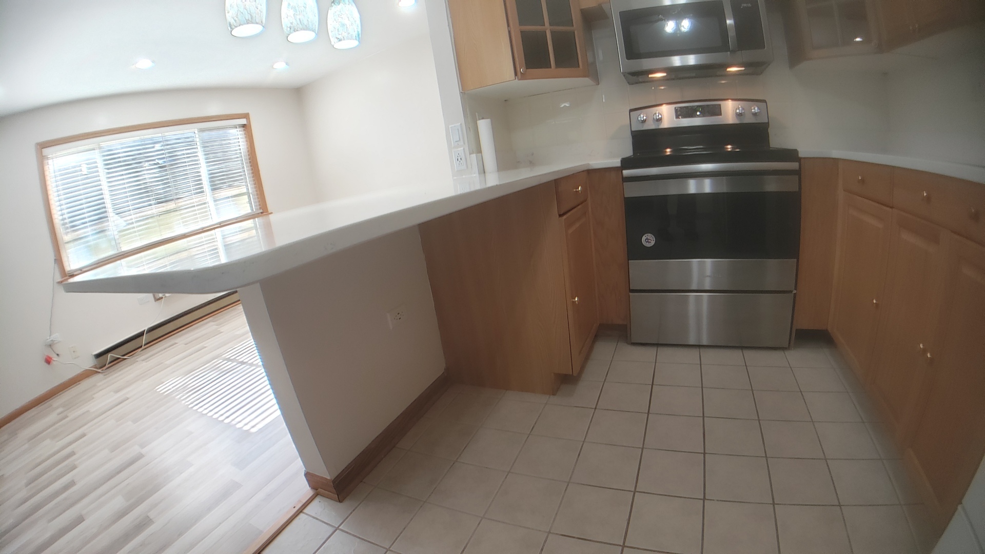 1130 Dunlop Avenue #2C, Forest Park, IL 60130