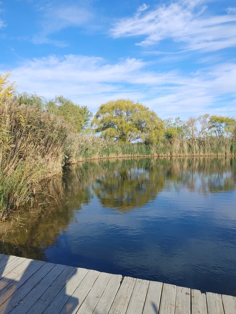 5395 Carbon Hill Road, Gardner, IL 60424