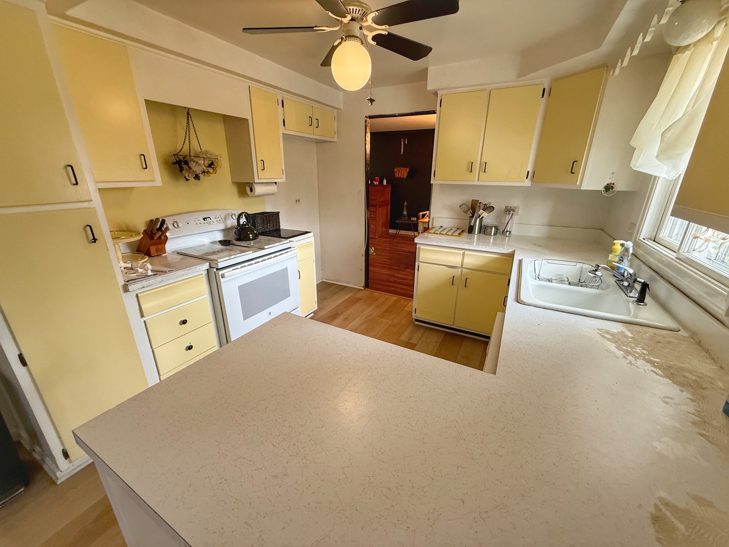 526 S SPRINGINSGUTH Road, Schaumburg, IL 60193