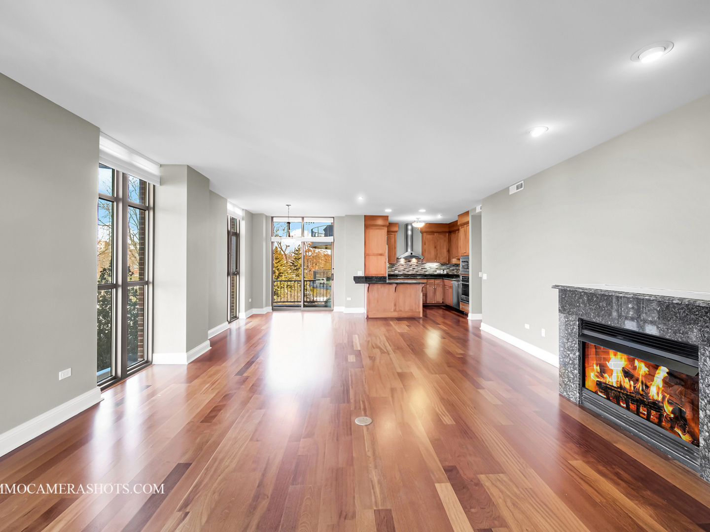 520 S Washington Street #201, Naperville, IL 60540