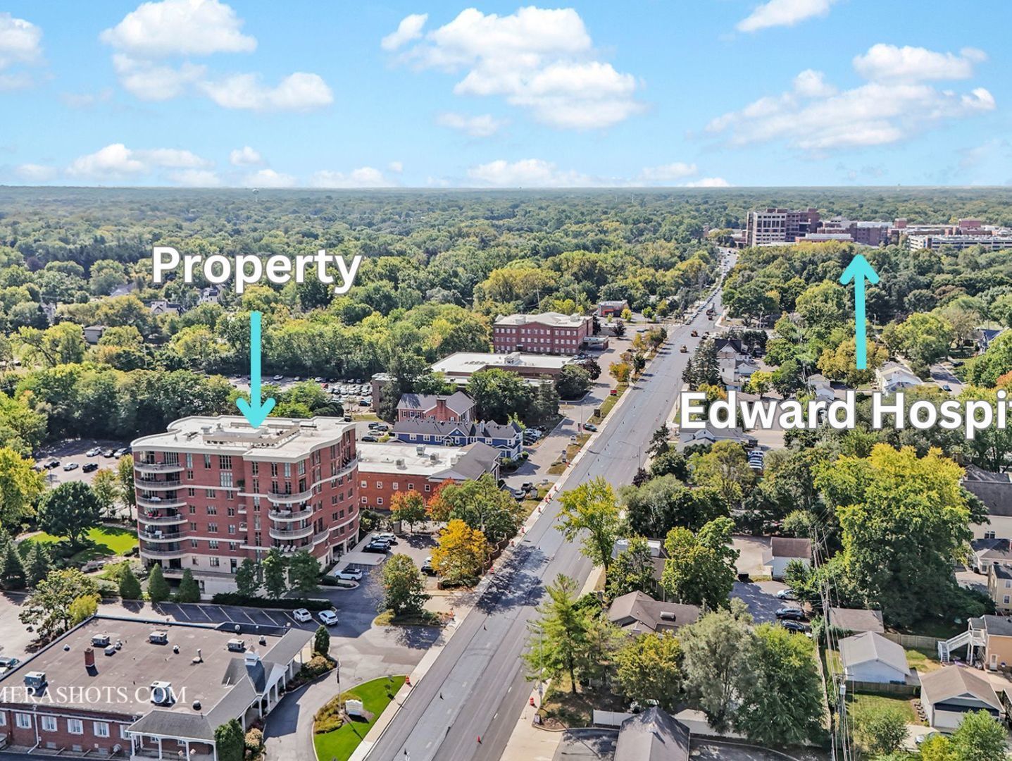 520 S Washington Street #201, Naperville, IL 60540