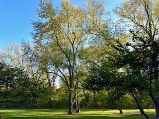 120 Lakeview Drive #109, Bloomingdale, IL 60108