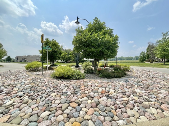 14403 Iz Brook Drive, Homer Glen, IL 60491