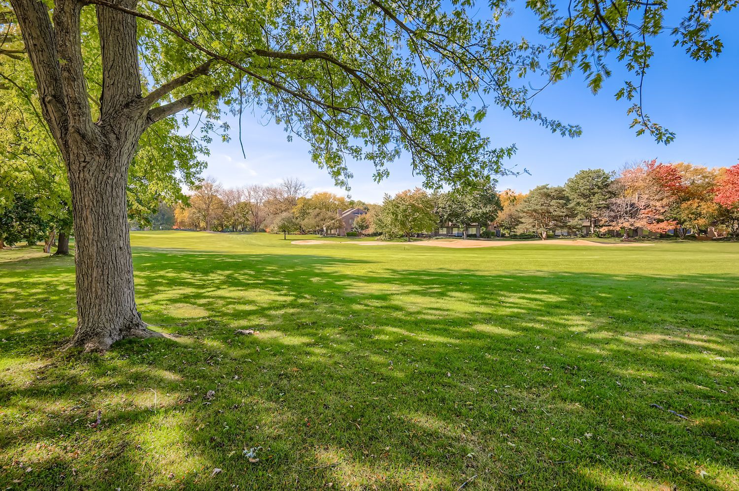 668 Shoreline Road, Lake Barrington, IL 60010