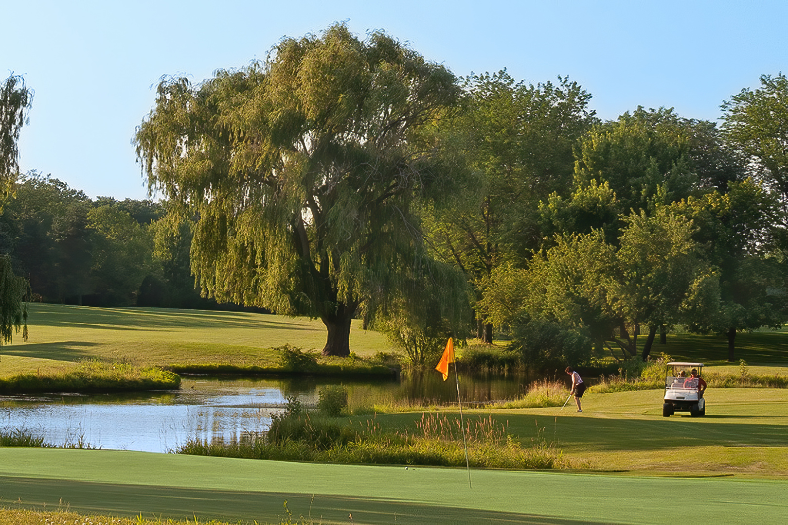 668 Shoreline Road, Lake Barrington, IL 60010