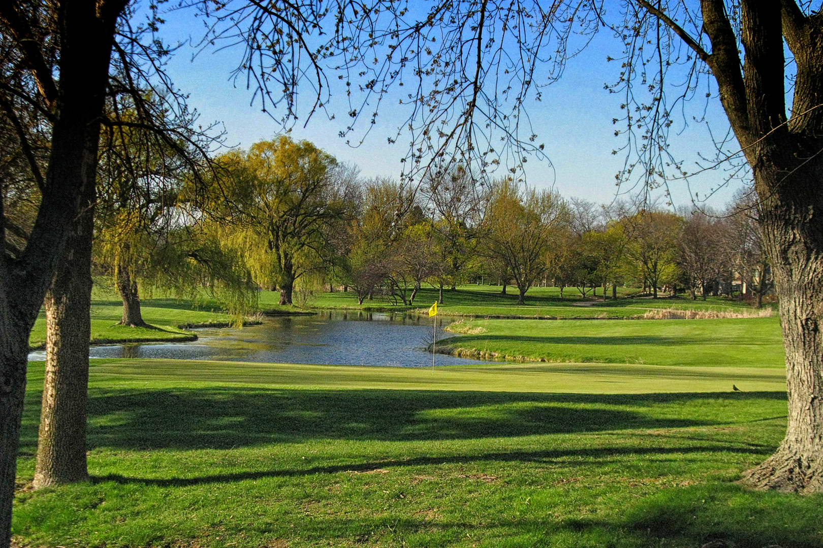 668 Shoreline Road, Lake Barrington, IL 60010