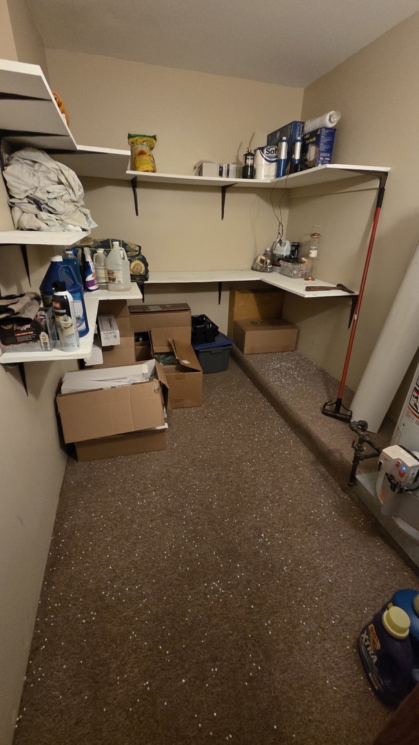 2502 E VANDRUNEN Drive, Crete, IL 60417