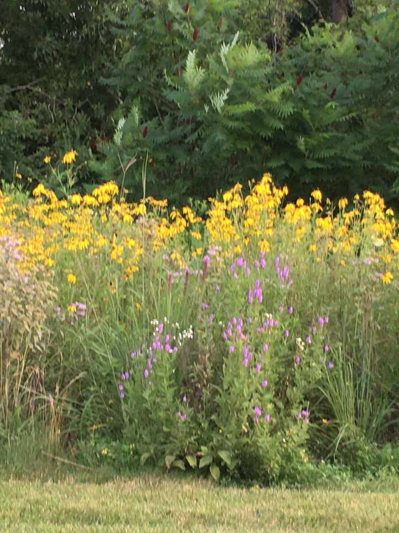 2972 Trillium Court, Aurora, IL 60506