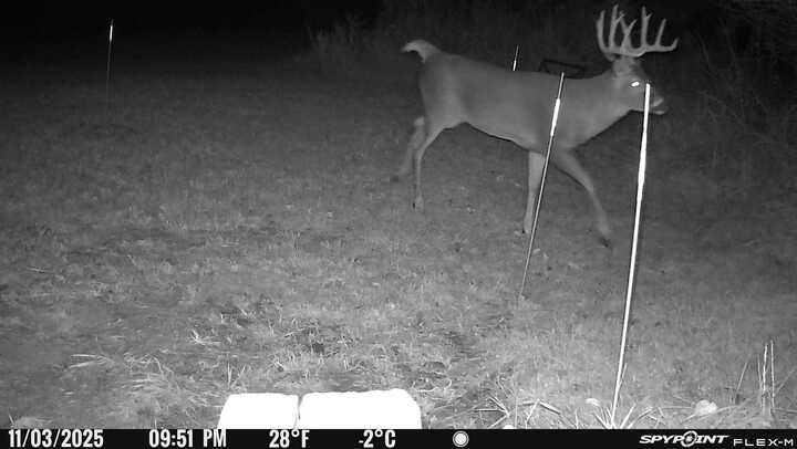 11071 Crimmin Road, Newark, IL 60541