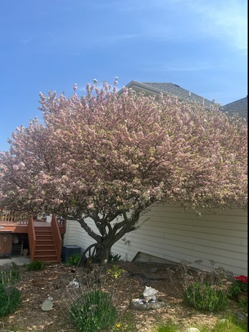 25812 91st Street, Salem, WI 53168