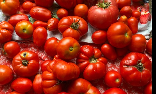 25812 91st Street, Salem, WI 53168