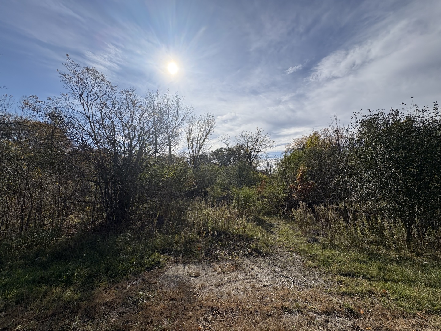 1854 Checker Road, Long Grove, IL 60047