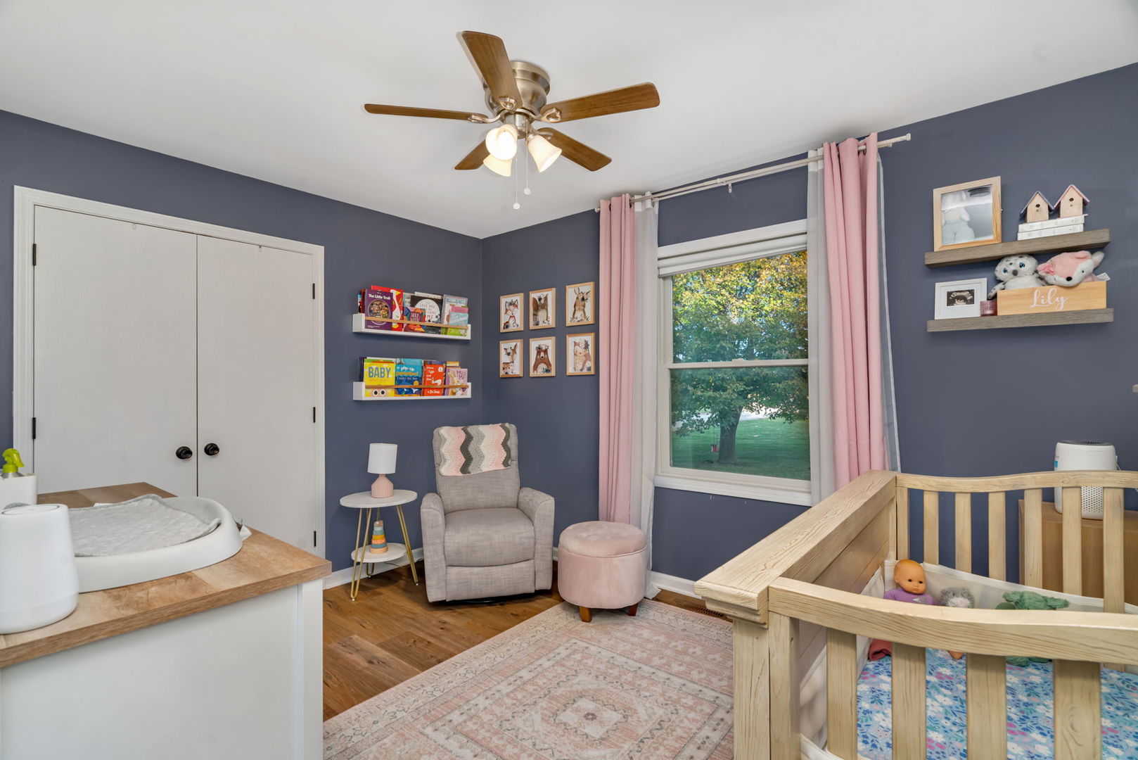 3945 S Broadway Road, Braceville, IL 60407