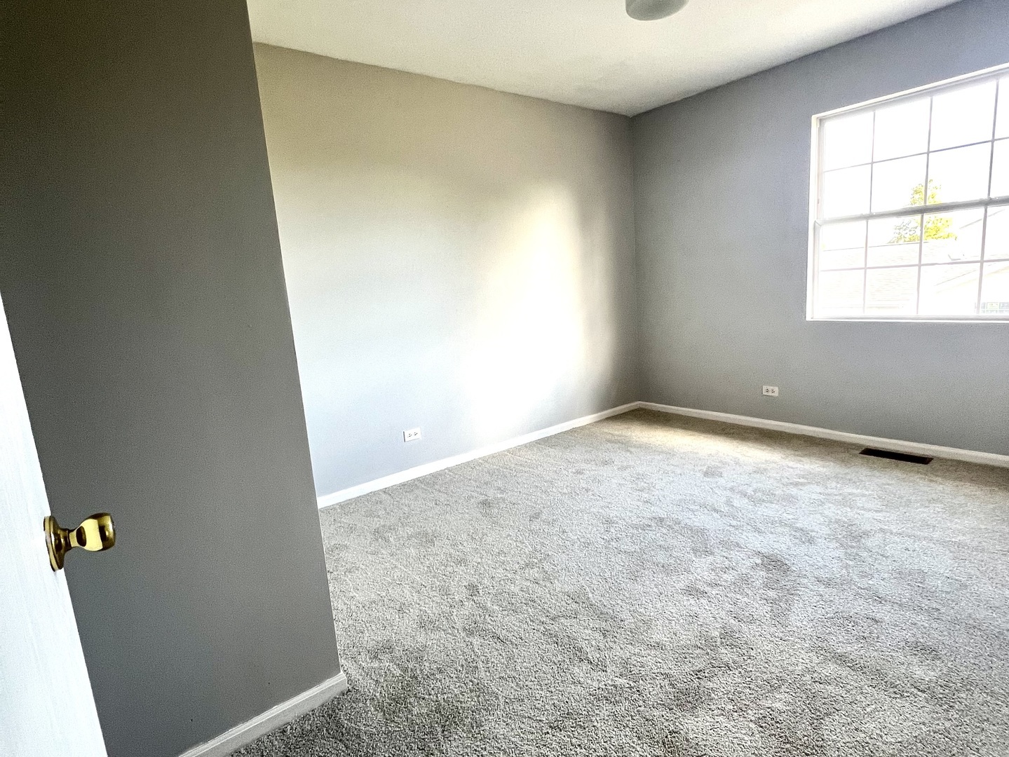 17716 W Horseshoe Lane #3, Gurnee, IL 60031