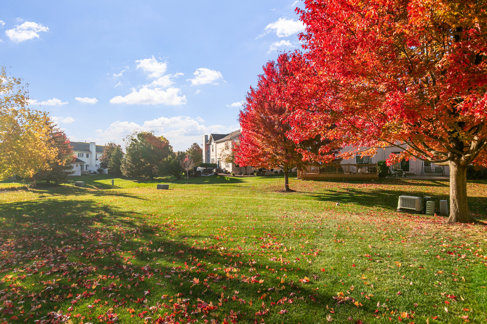 1086 BIRCH Lane #39R, Romeoville, IL 60446